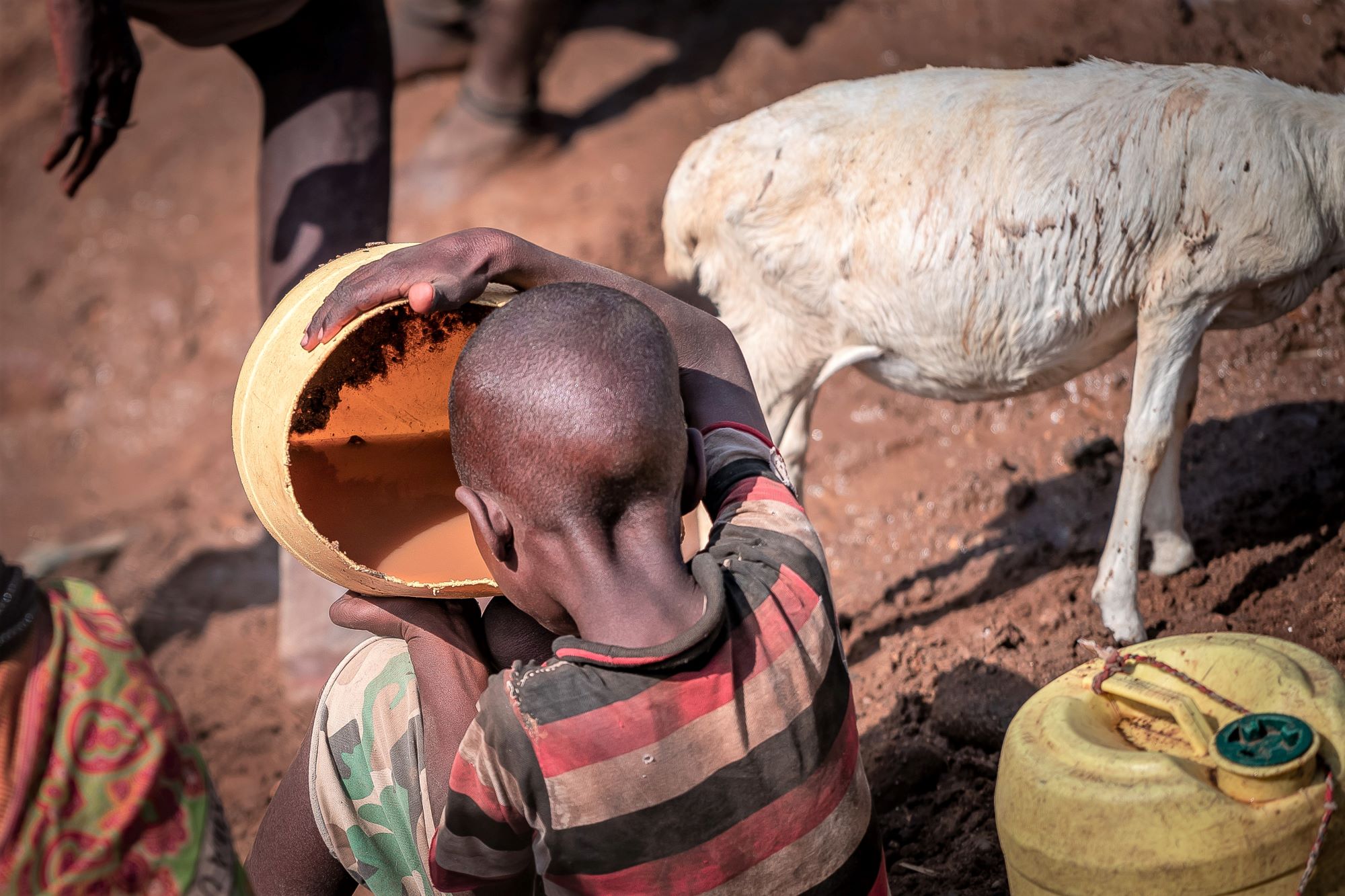 Tørke på Afrikas Horn