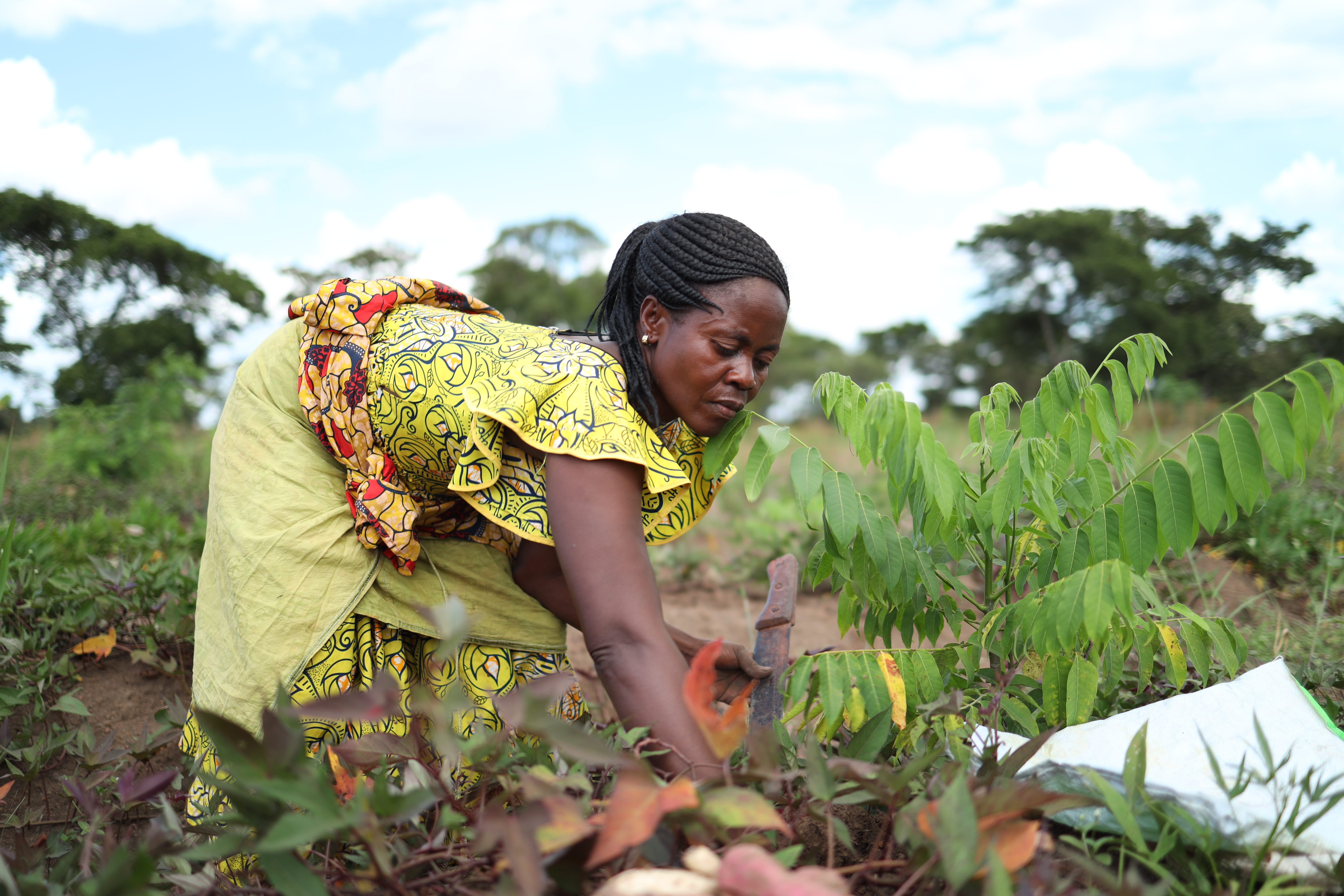 Woman in kitchen garden