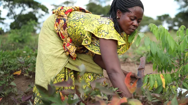 Woman in kitchen garden