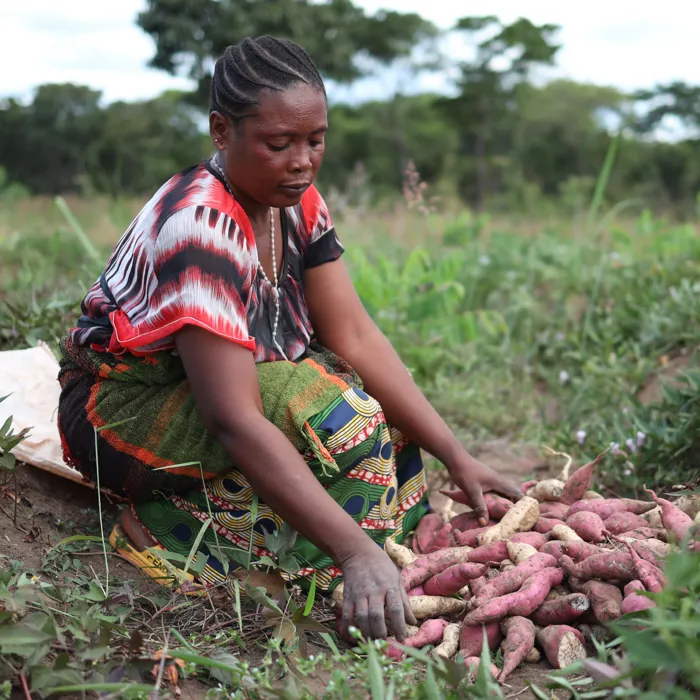 Woman in kitchen garden
