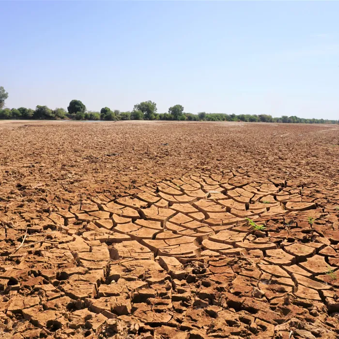 Tørke på Afrikas Horn